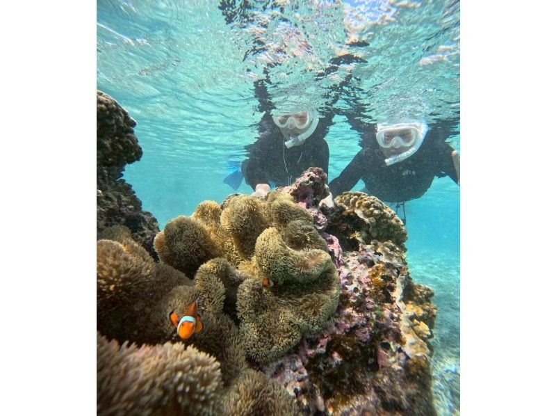 OCEAN LIFE のギャラリー