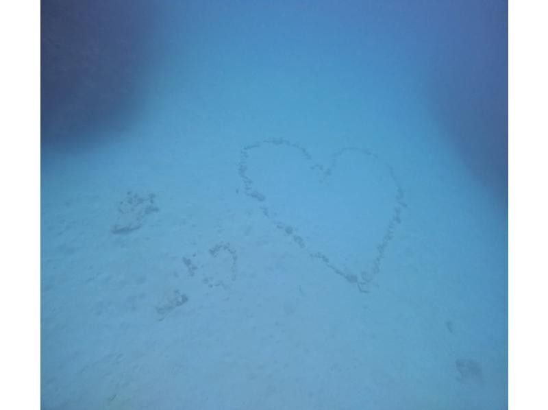 沖縄マリンサービスTI.OCEAN のギャラリー