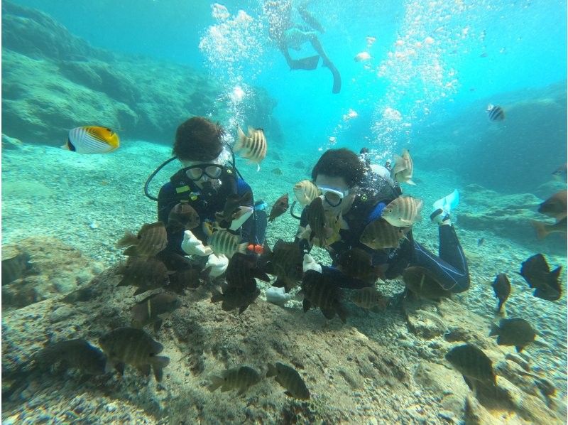 沖縄ダイビングショップシーモール のギャラリー