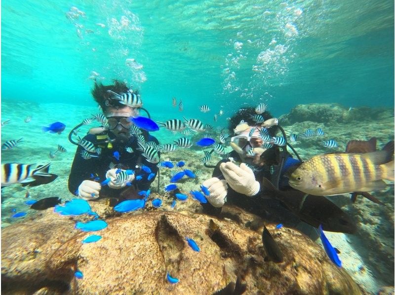 沖縄ダイビングショップシーモール のギャラリー