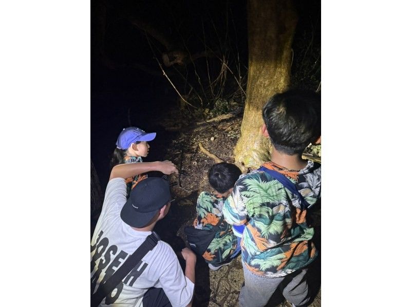 モンキーネイビー のギャラリー