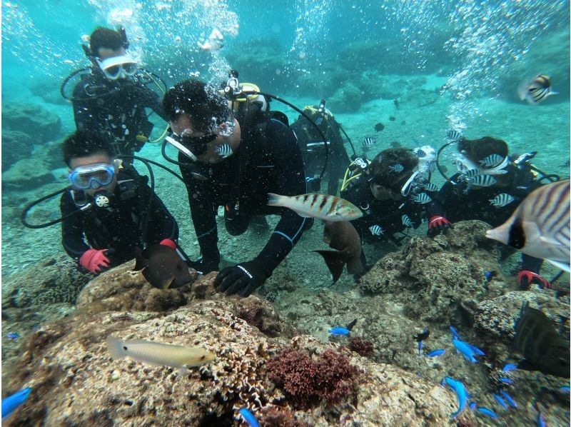 Marine Joint のギャラリー