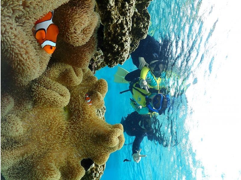 Nami宮古島 のギャラリー