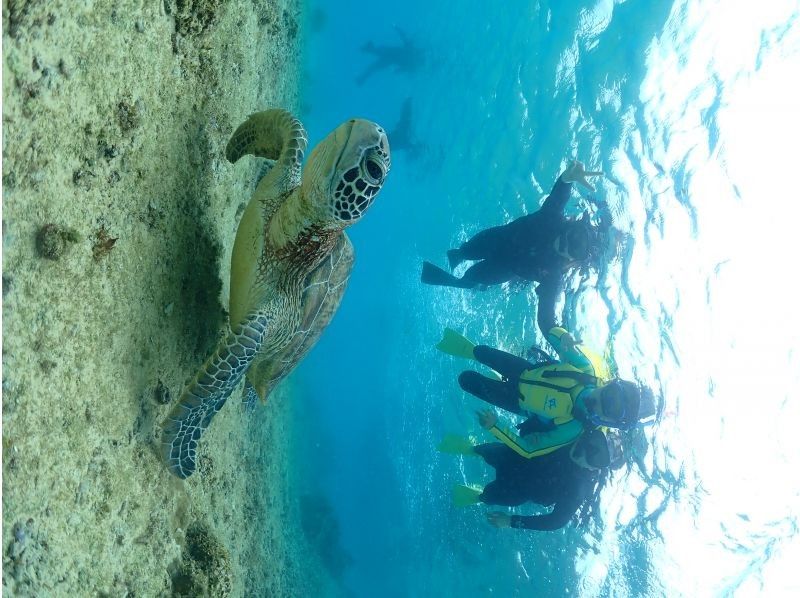 Nami宮古島 のギャラリー