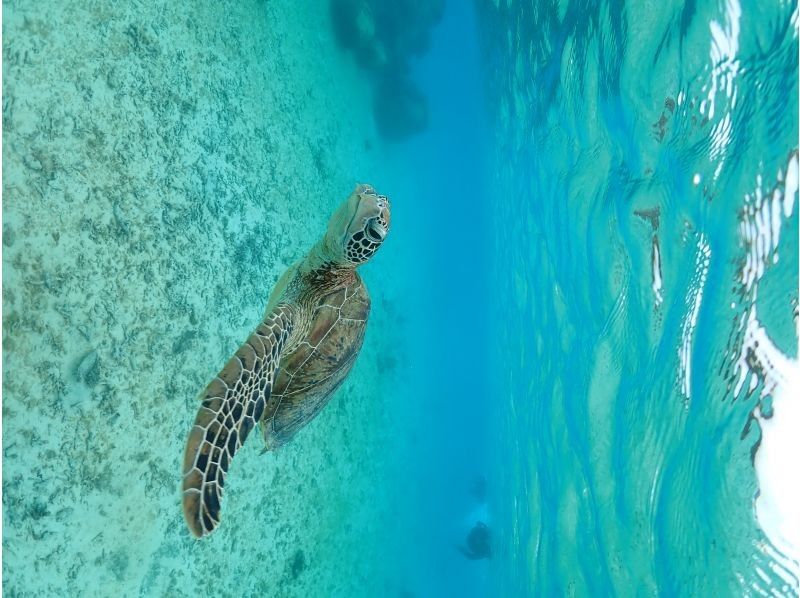 Nami宮古島 のギャラリー