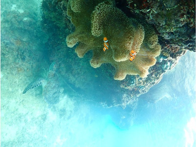 Nami宮古島 のギャラリー