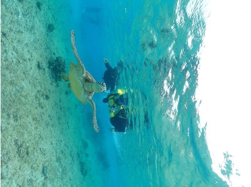 Nami宮古島 のギャラリー