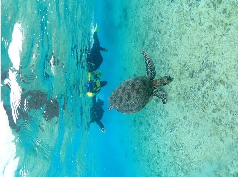 Nami宮古島 のギャラリー