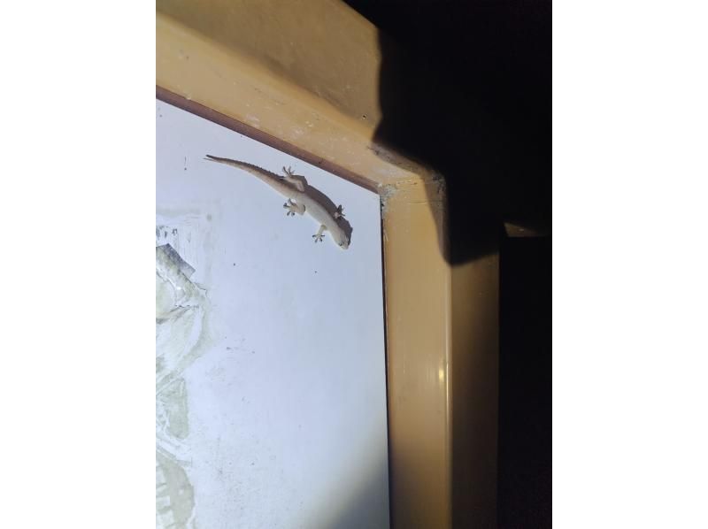 モンキーネイビー のギャラリー