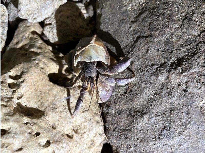 マーレ石垣島 のギャラリー