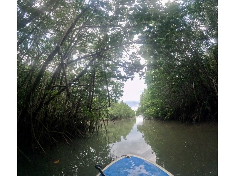 石垣島  ADVENTURE PiPi（ピピ） のギャラリー