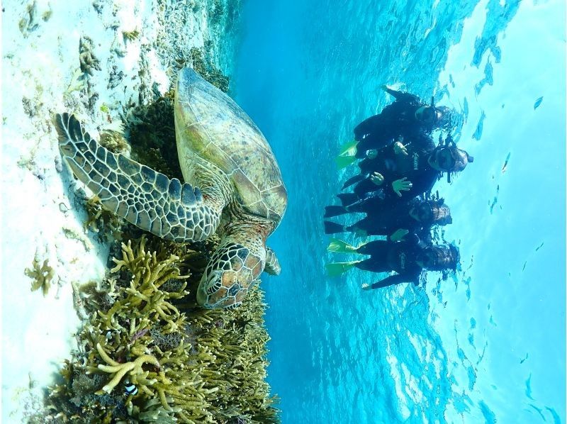 Nami宮古島 のギャラリー