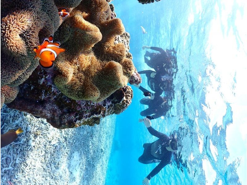 Nami宮古島 のギャラリー