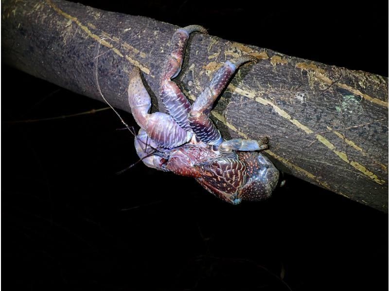 宮古島マリンショップSmiley のギャラリー