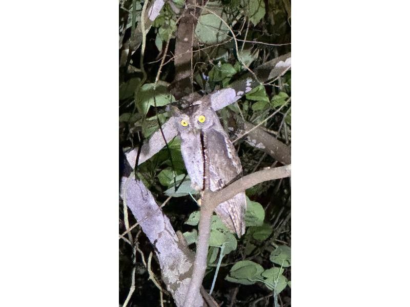 宮古島マリンショップSmiley のギャラリー