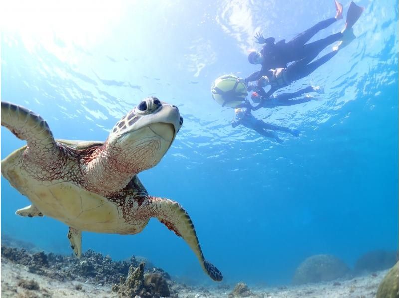 宮古島マリンショップSmiley のギャラリー