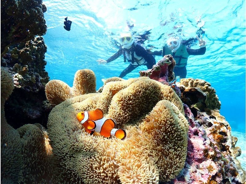 宮古島マリンショップSmiley のギャラリー