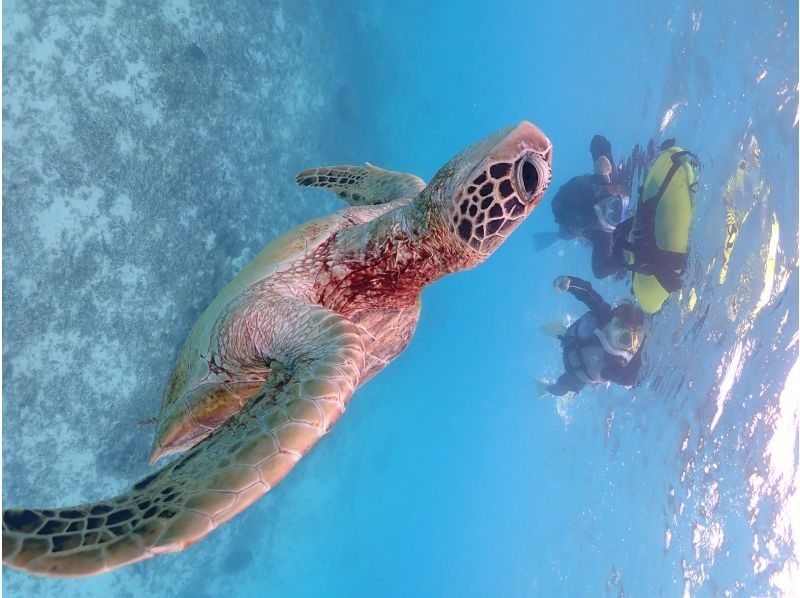 宮古島マリンショップSmiley のギャラリー