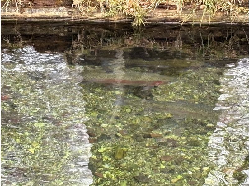 株式会社日光自然博物館 のギャラリー