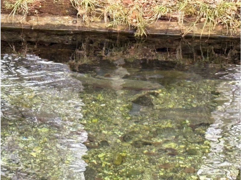 株式会社日光自然博物館 のギャラリー