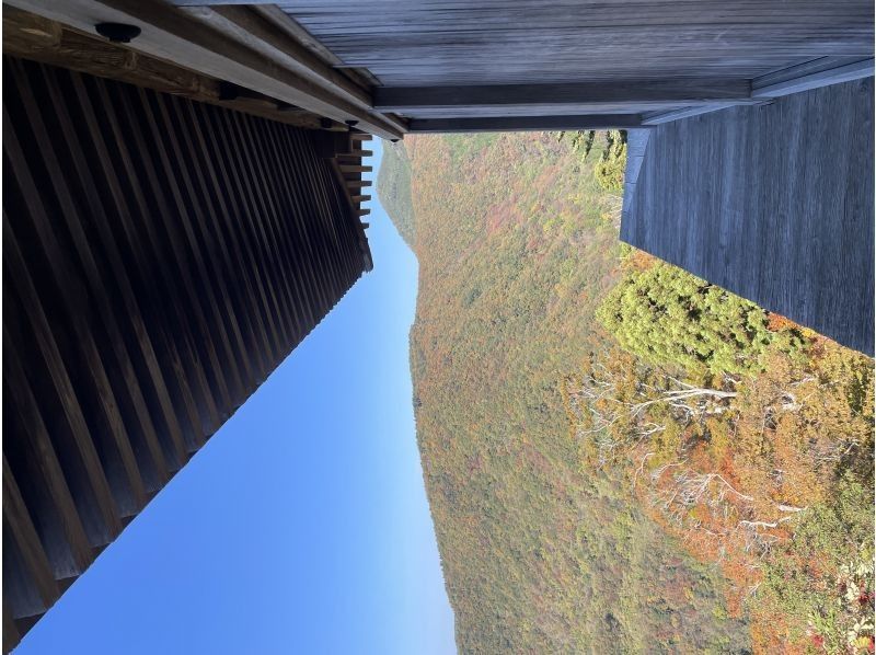 Field Only のギャラリー