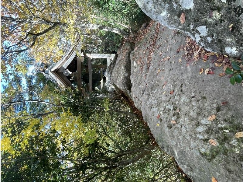 Field Only のギャラリー