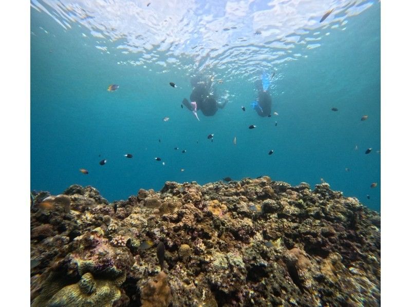 マーレ石垣島 のギャラリー