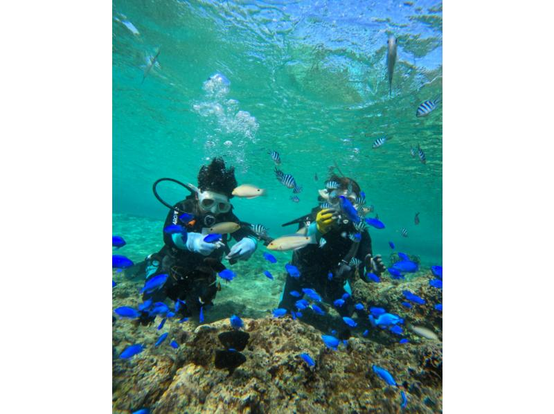 武藤潜水 のギャラリー