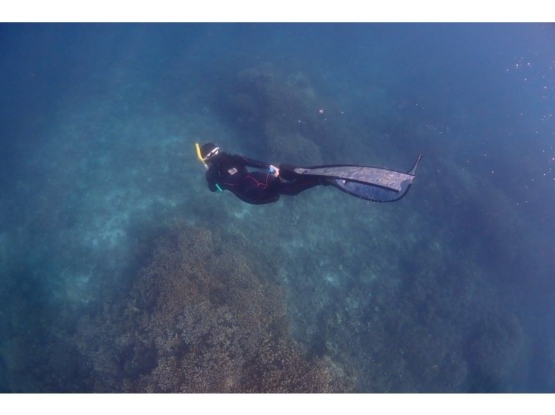 FAUSTO石垣島（ファウストイシガキジマ） のギャラリー