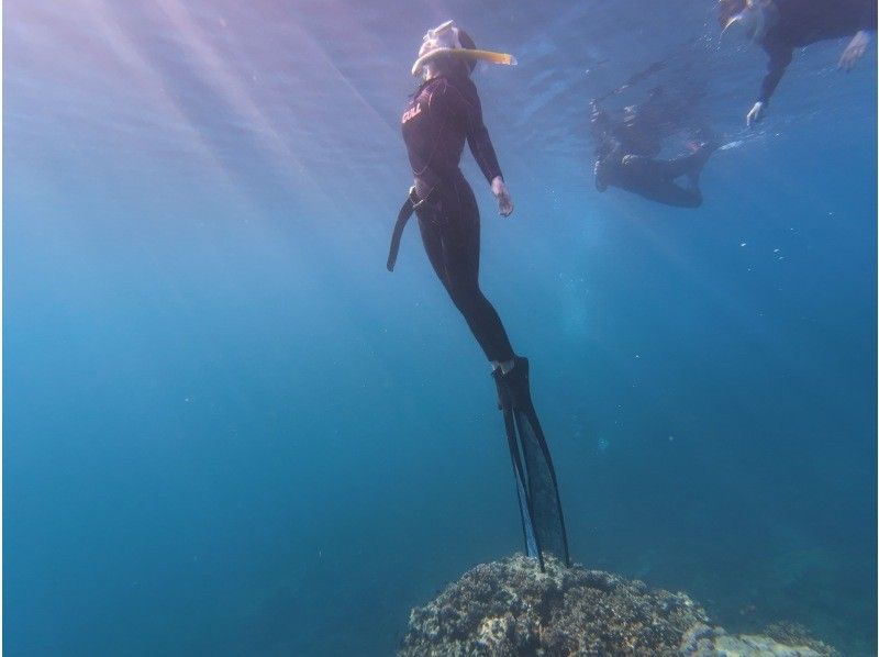 FAUSTO石垣島（ファウストイシガキジマ） のギャラリー