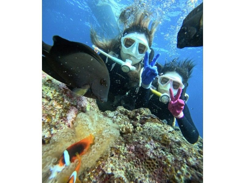 Bal field（バルフィールド） のギャラリー