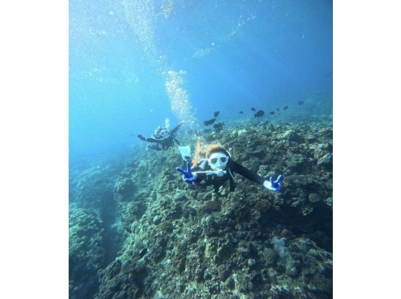 Bal field（バルフィールド） のギャラリー