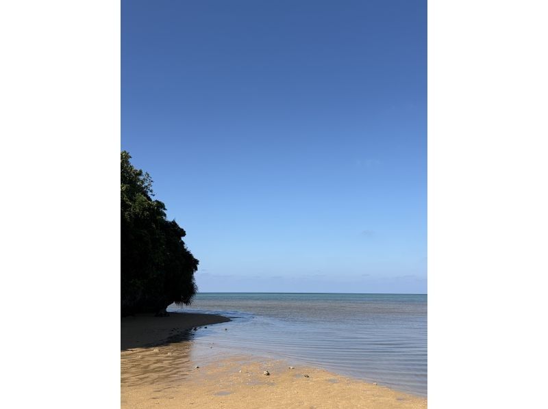 石垣島グランピングリゾートStarOcean のギャラリー