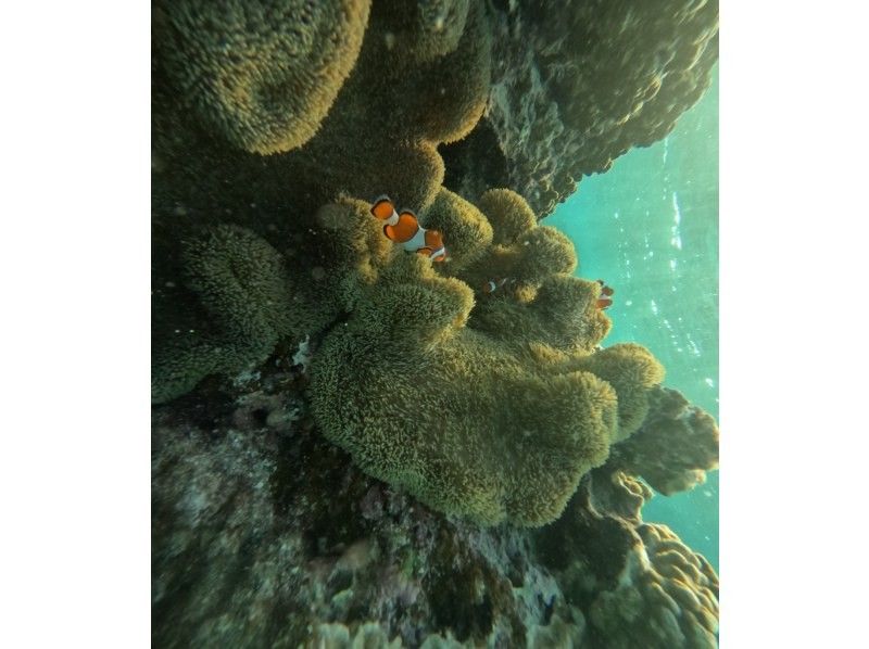 宮古島 ADVENTURE PiPi（ピピ） のギャラリー