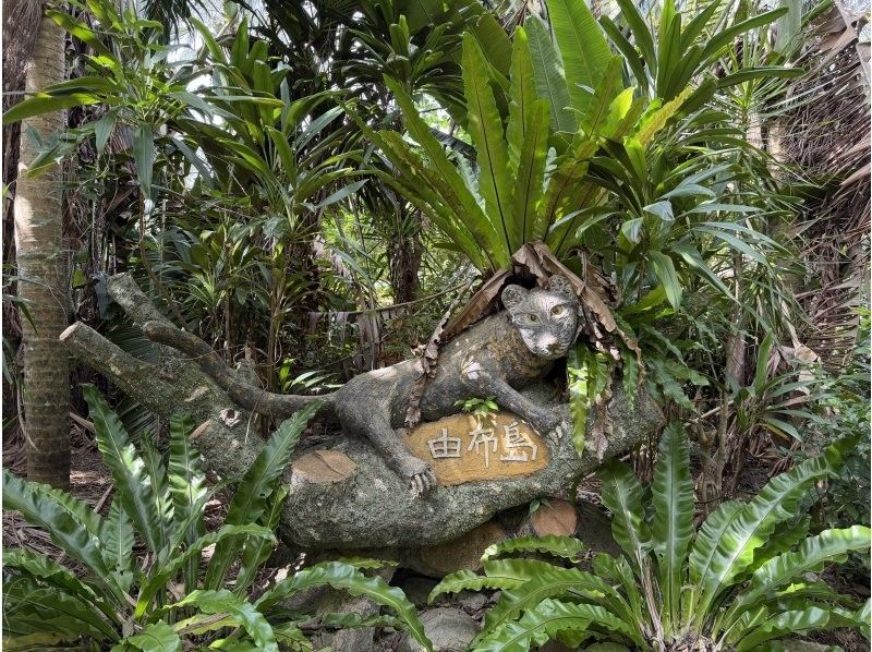 西表島カヌーツアー風車 のギャラリー