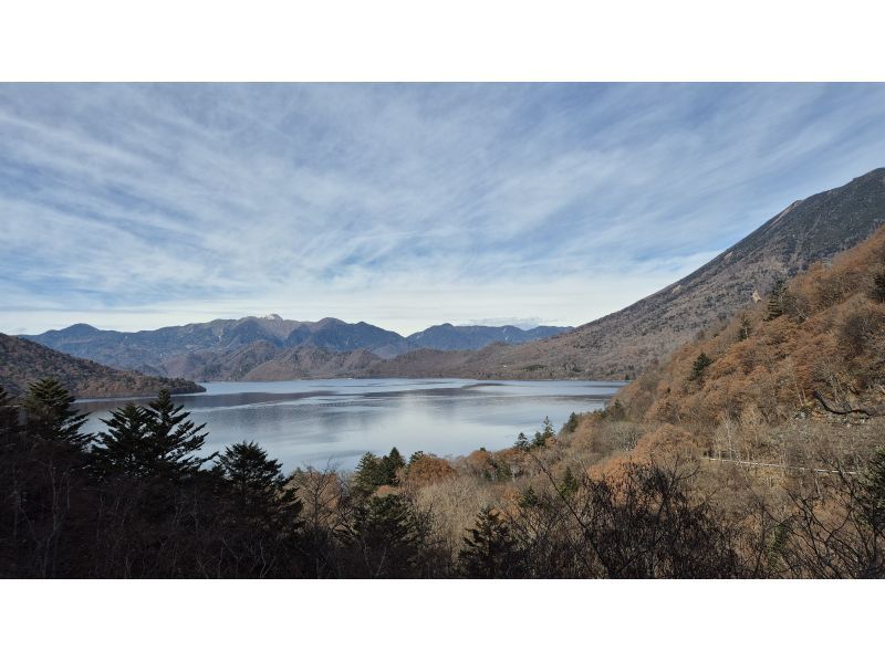 株式会社日光自然博物館 のギャラリー