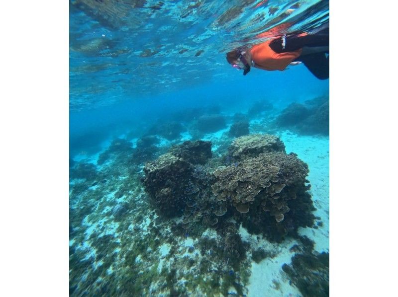 沖縄ダイビングライセンス フリースタイル のギャラリー