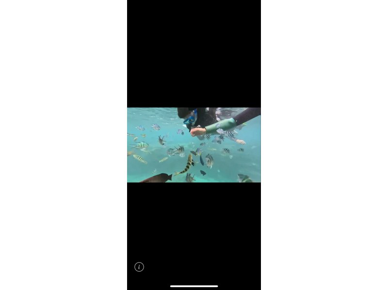 ダイビングショップ リョウ のギャラリー