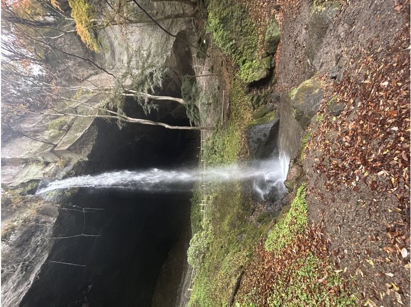 PLANET JOURNEY のギャラリー