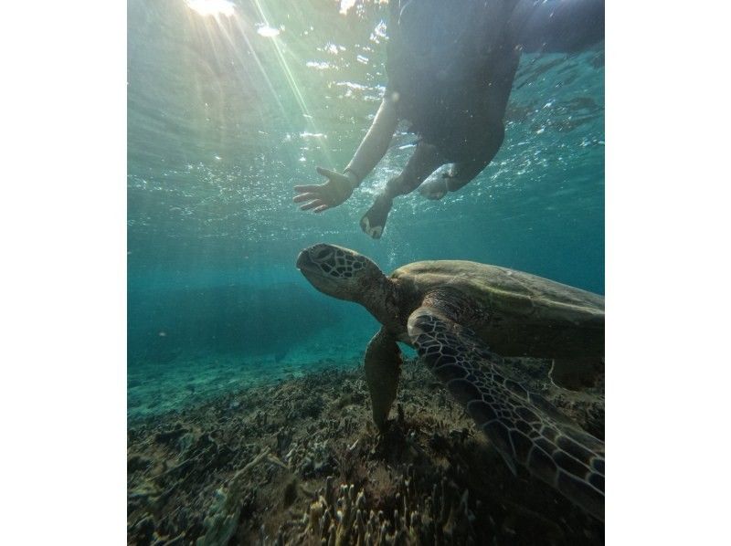 宮古島 ADVENTURE PiPi（ピピ） のギャラリー