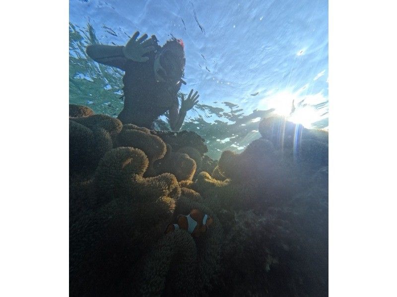 宮古島 ADVENTURE PiPi（ピピ） のギャラリー