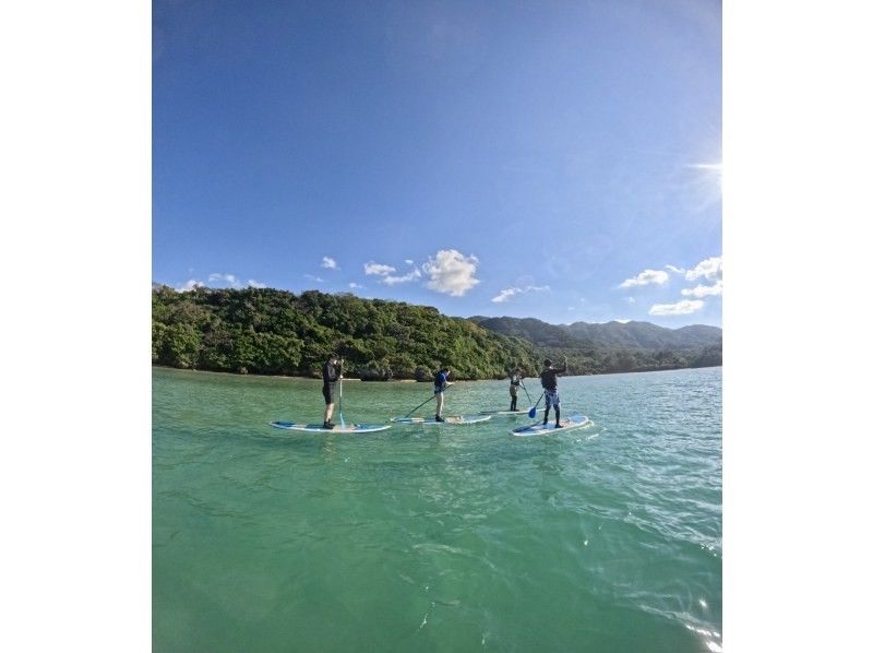 石垣島  ADVENTURE PiPi（ピピ） のギャラリー