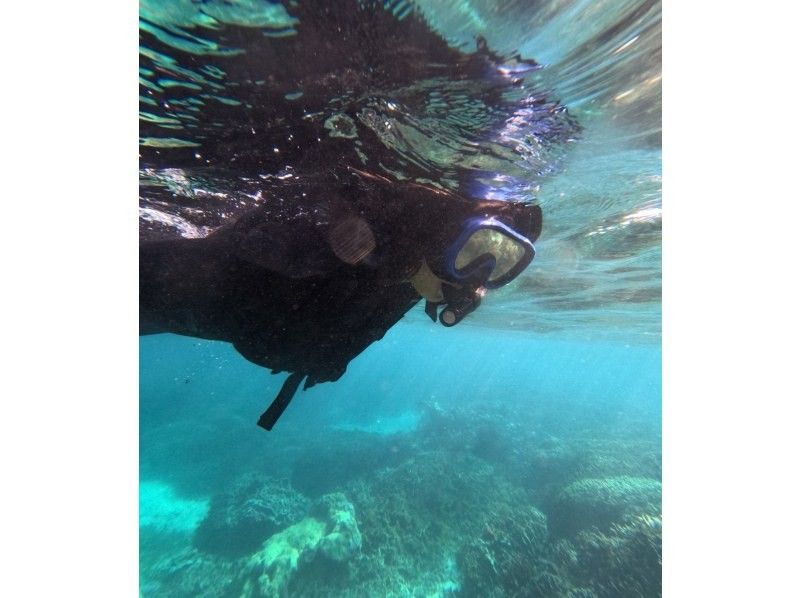 石垣島  ADVENTURE PiPi（ピピ） のギャラリー