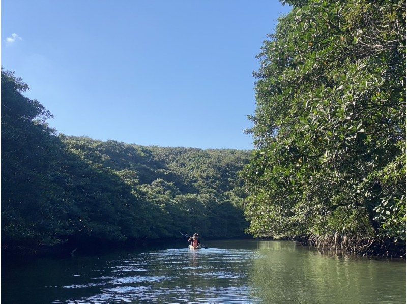 ブルーシーズン西表(BLUE SEASON IRIOMOTE) のギャラリー