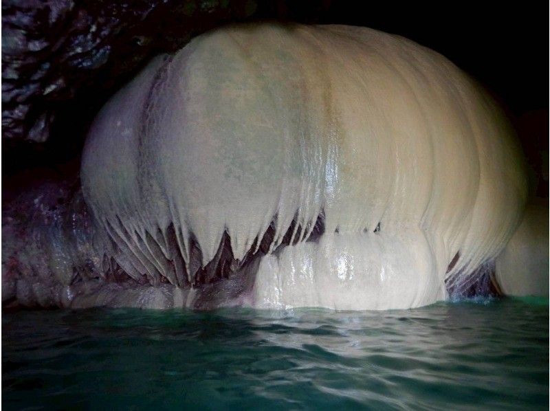 SEA ENJOY のギャラリー