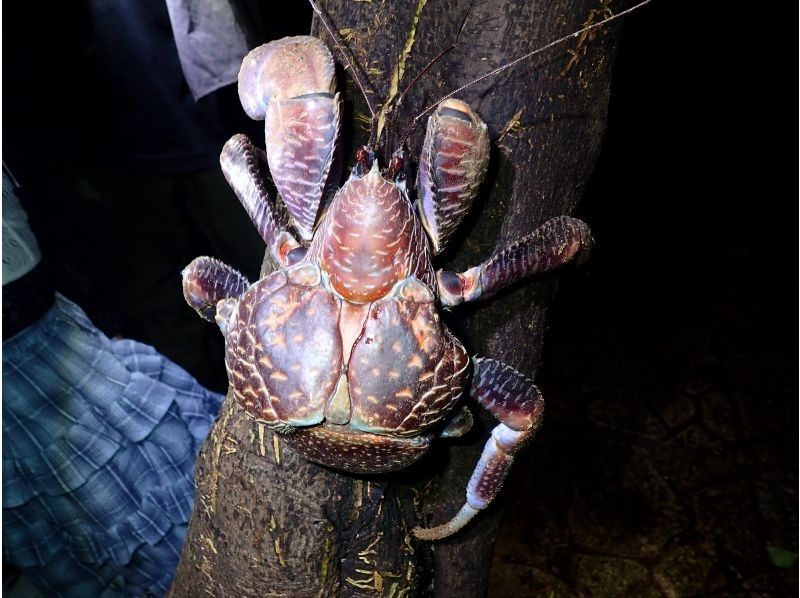 宮古島マリンショップSmiley のギャラリー