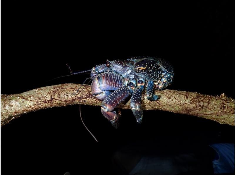 宮古島マリンショップSmiley のギャラリー