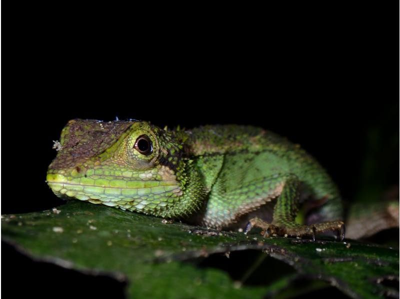 宮古島マリンショップSmiley のギャラリー