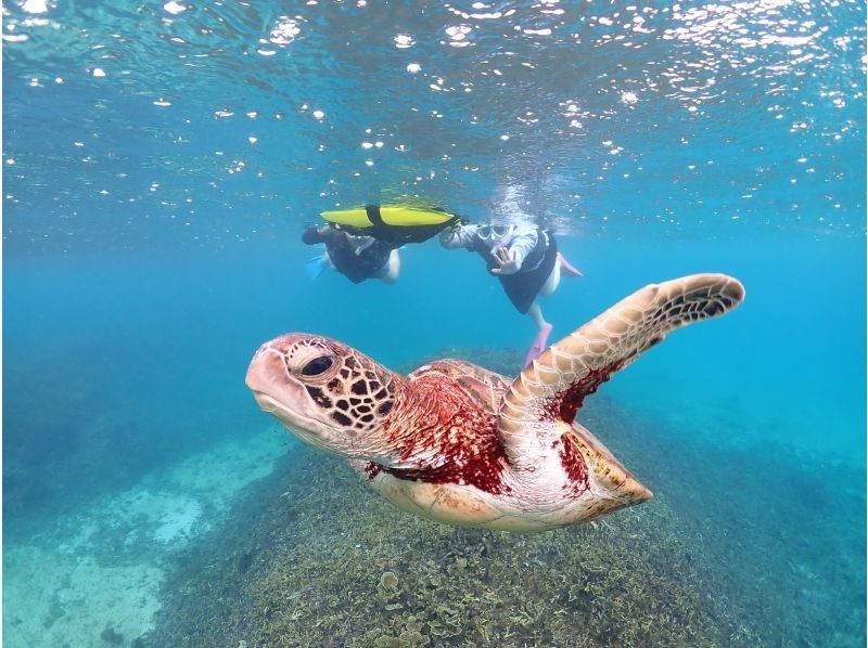 宮古島マリンショップSmiley のギャラリー