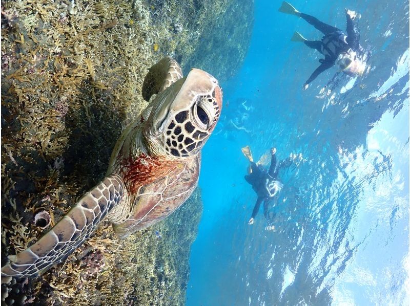 宮古島マリンショップSmiley のギャラリー